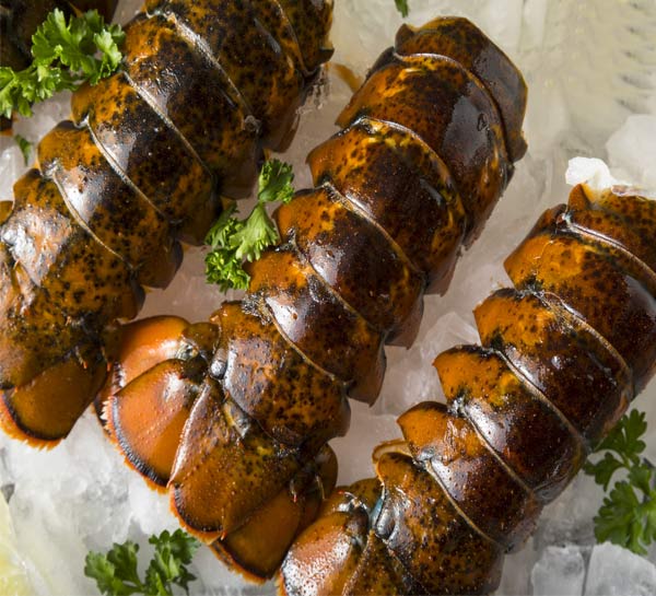 Jumbo Canadian Lobster Tails