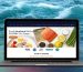 Buy-Fresh-Seafood-Online